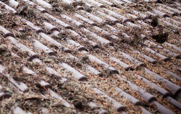 Lound roof cleaning companies